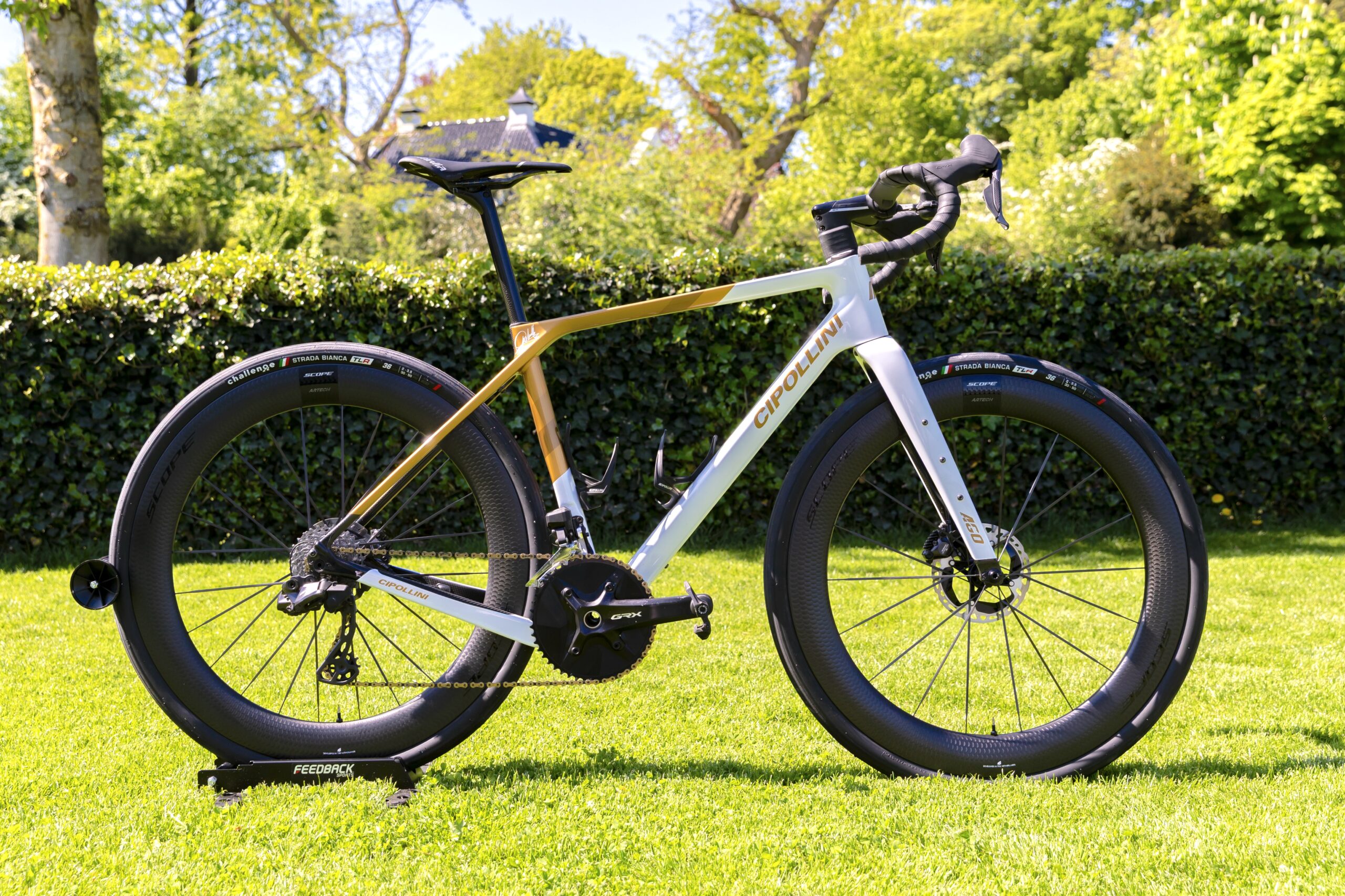 Scope Wheels: Top Quality from Holland for an Unbeatable Price